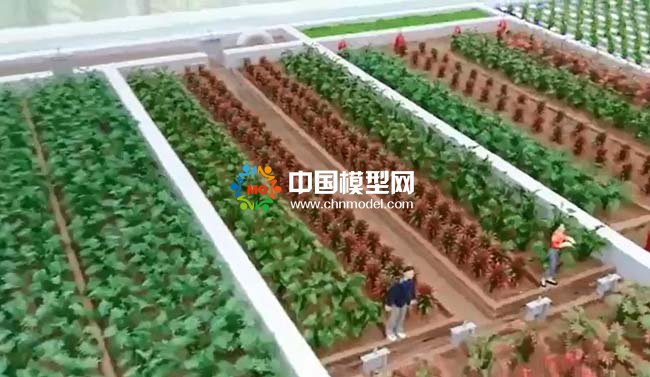 农业灌溉施肥模拟系统沙盘模型