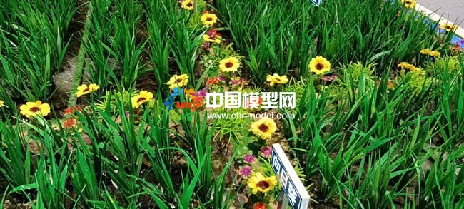 茭白产业种植基地沙盘模型