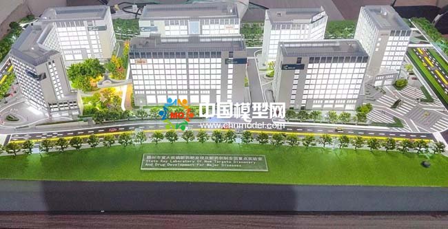 重大疾病新药靶发现及新药创制全国重点实验室沙盘模型